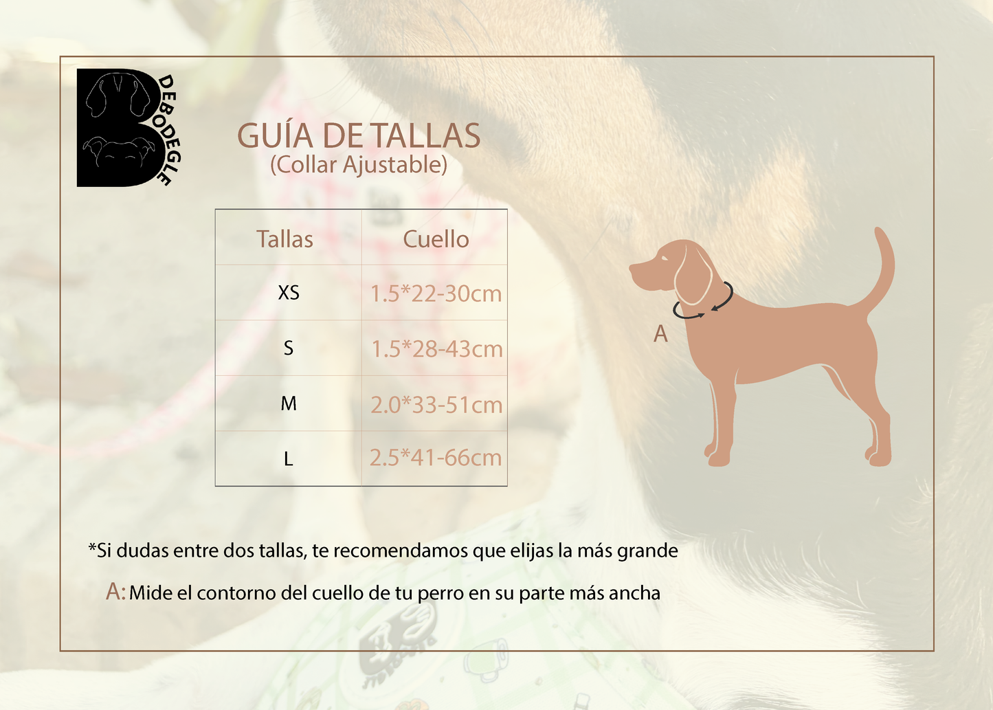Guía de tallas para collar ajustable para perro Bdebodegle