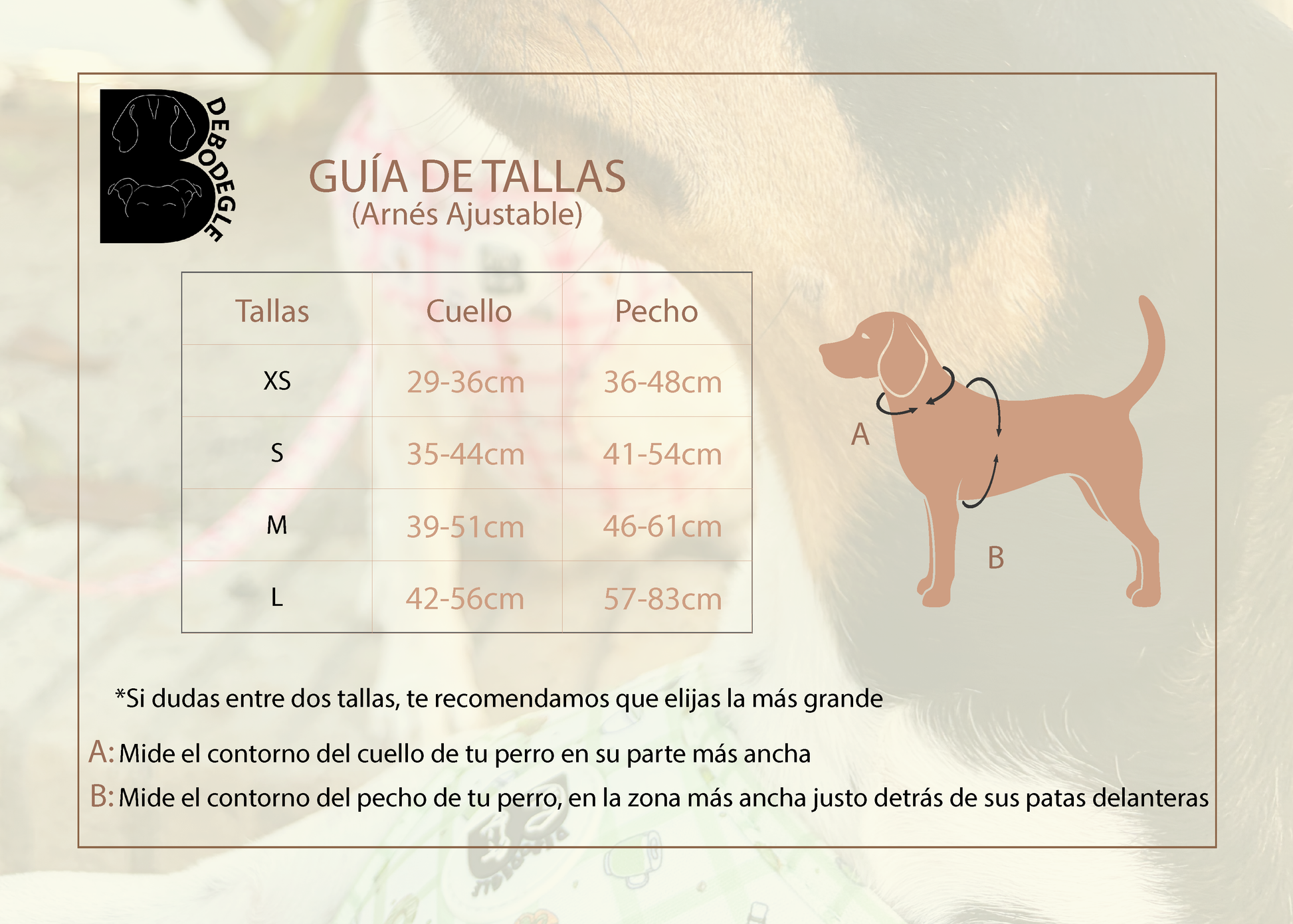 Guía de tallas para arnés ajustable para perro Bdebodegle